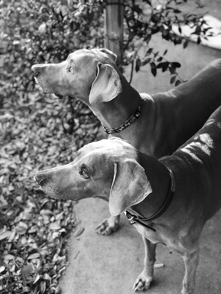 Kashi & Benni