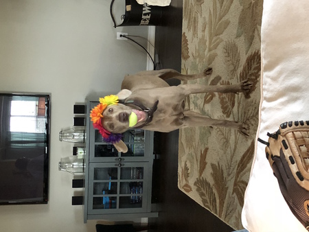 Lagniappe