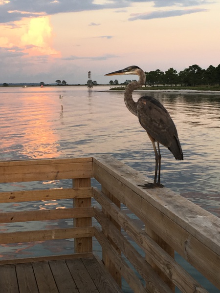 St Andrews State Park