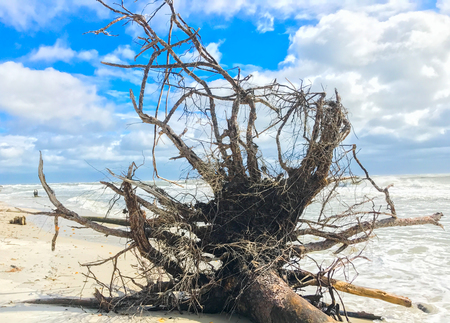 Cape San Blas