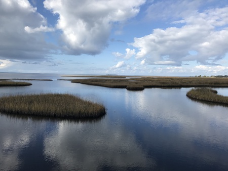 Salinas Park, Gulf County, Florida