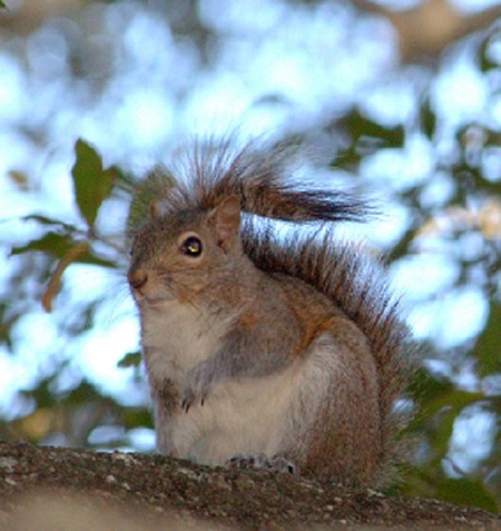 Under the Oaks Park,  Parker, Florida