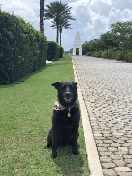 Alys Beach