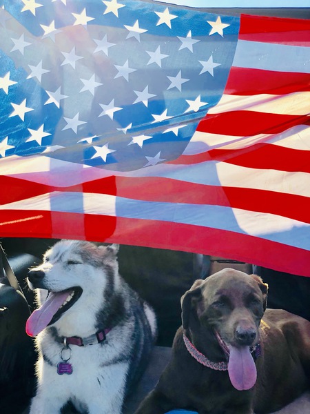 DOG BLESS AMERICA