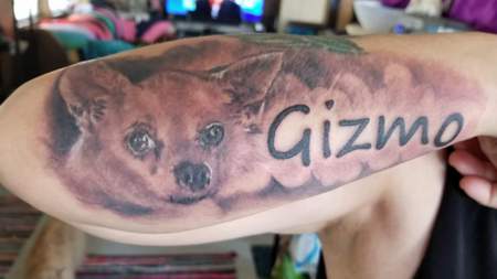 In memory of my Gizmo