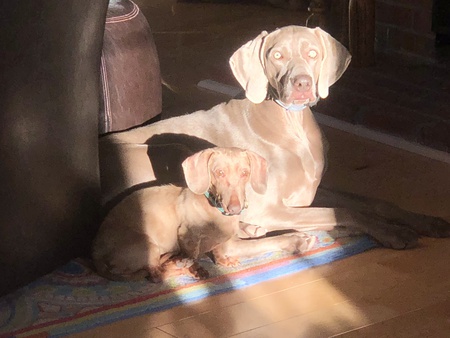 Ruby and Olive