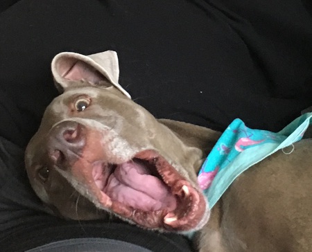 Bess Wigglebutt
