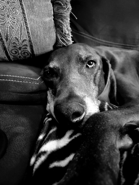 Flynn