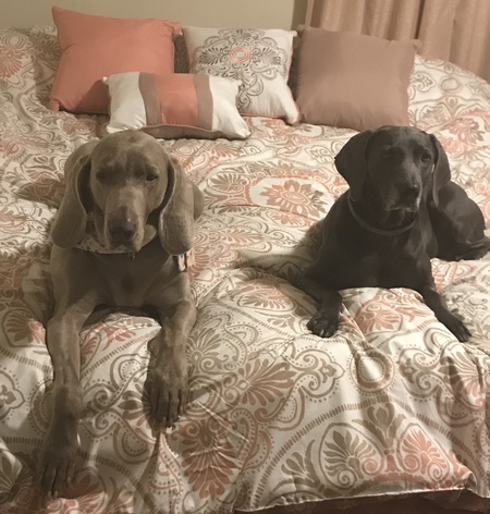 Willa & Gabby