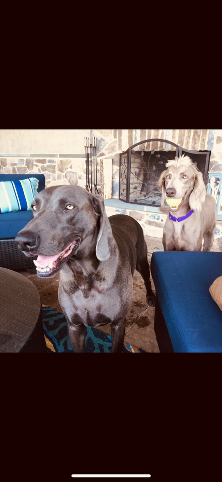 Trooper and Jackson