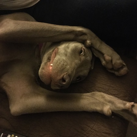 Lola
