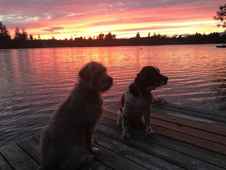 Tripper and Denali