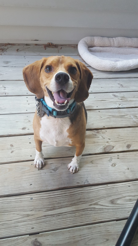 Finnegan