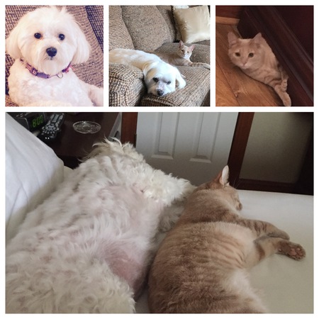 Lily & Lola