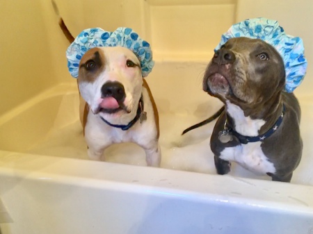 Murphy and Trooper