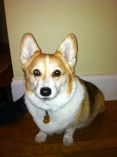 Maggie
