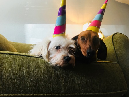 Winston and Sparkle