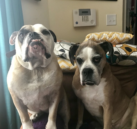 Omi and Uno 