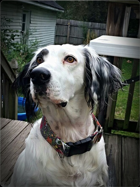 Emma Lou 