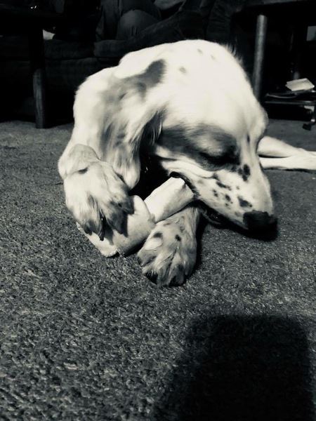 Mya