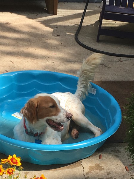 Cooper