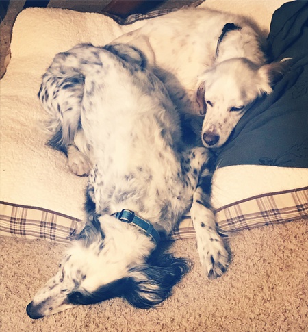 Jack and Joey