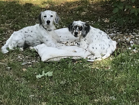 Piper & Paige