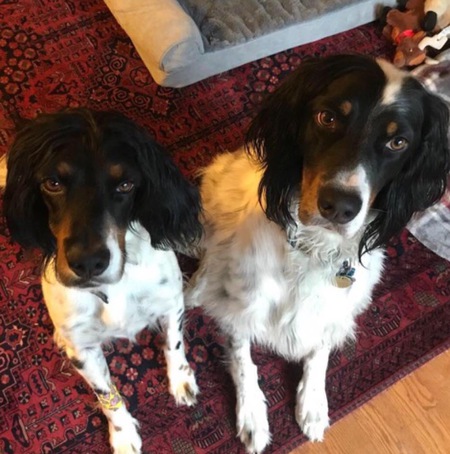 Gordy and Jacky