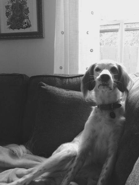 Tucker