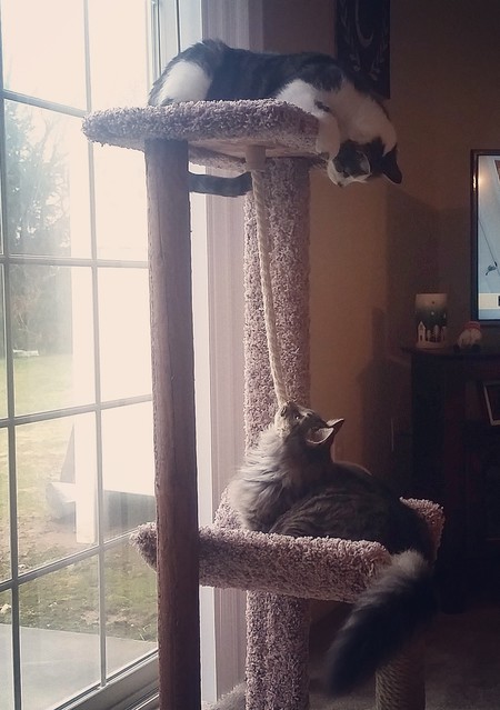 Petey & Hazel