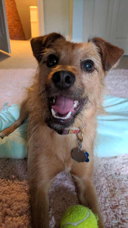 Cooper