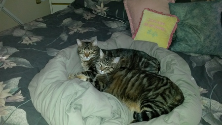 Marques and Mollie