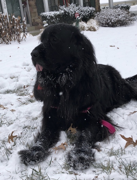 Sophie