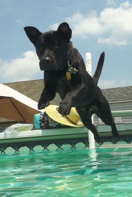 Gunner 