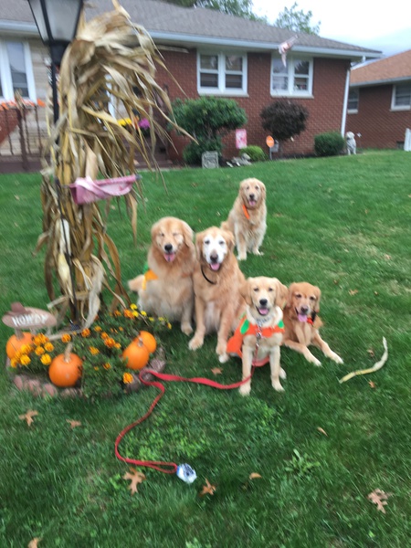 Golden Girls: Annie,Josie,Miley,Ginger,Cider