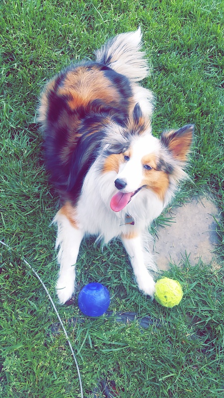 Tilly