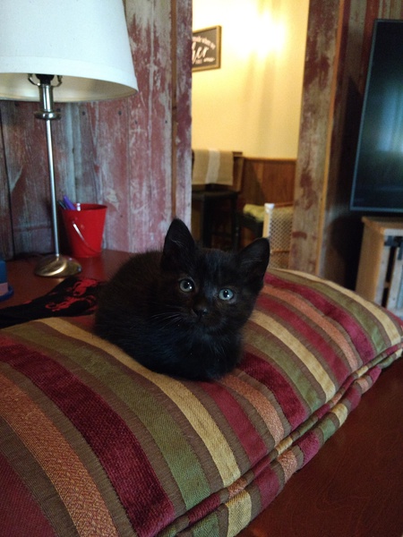 Max