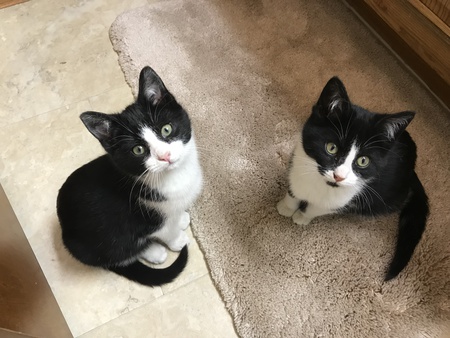 MAXINE AND MAGGIE