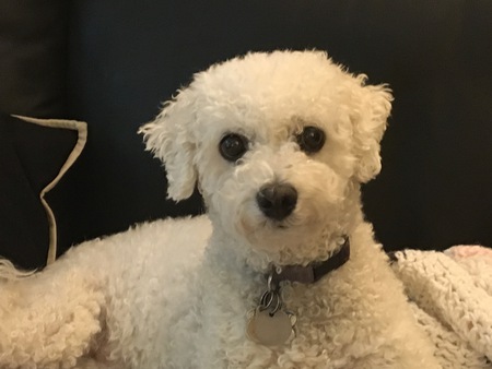 Daisy