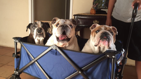 Ella, Frank and Chloe 