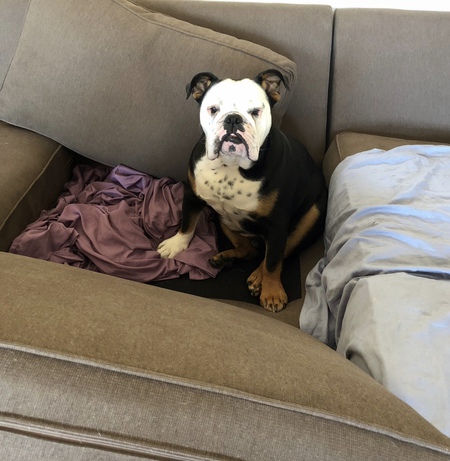 Tyson