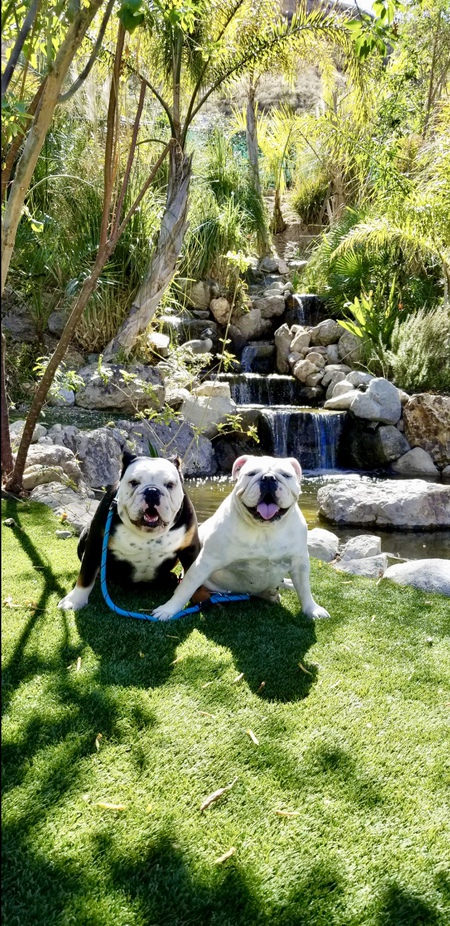 Tyson and Joy