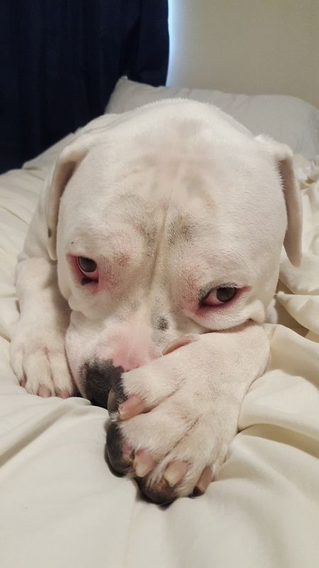 Tucker