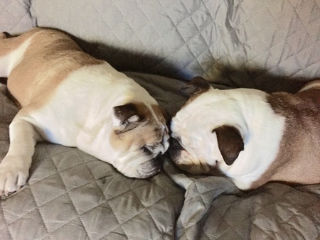 Delilah and Lovebug