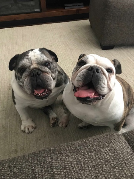Opie & Ophelia