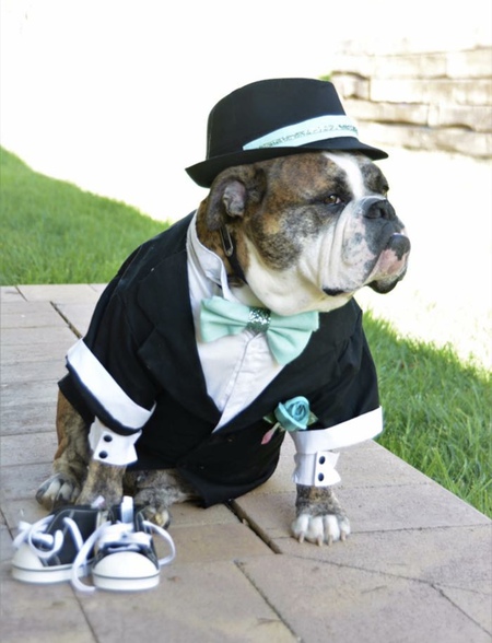 Waylon 