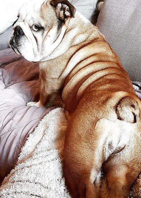 Mia