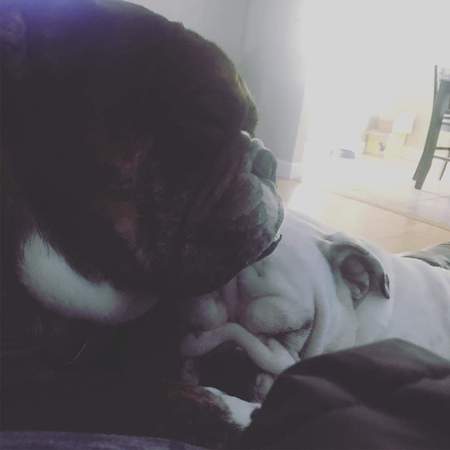 Rocco and Luna