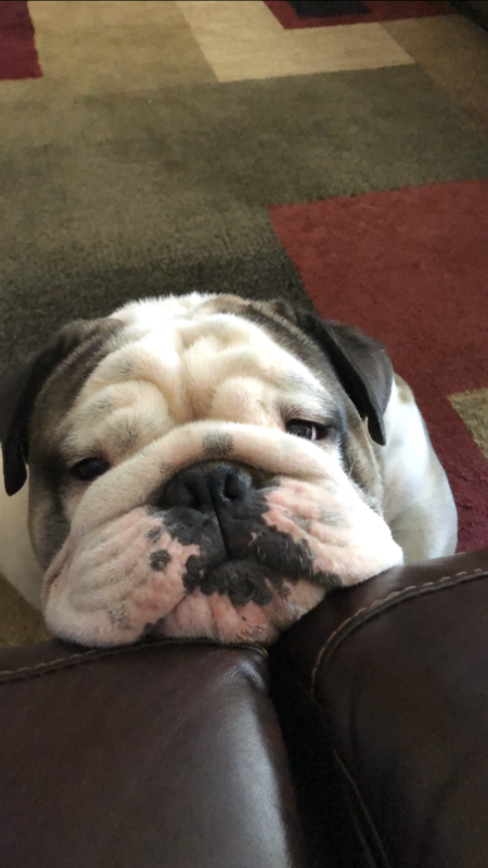 Bert