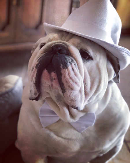 Maximus